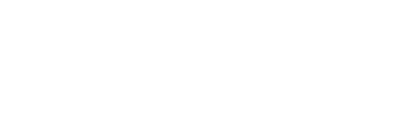 logo teamcat solutions